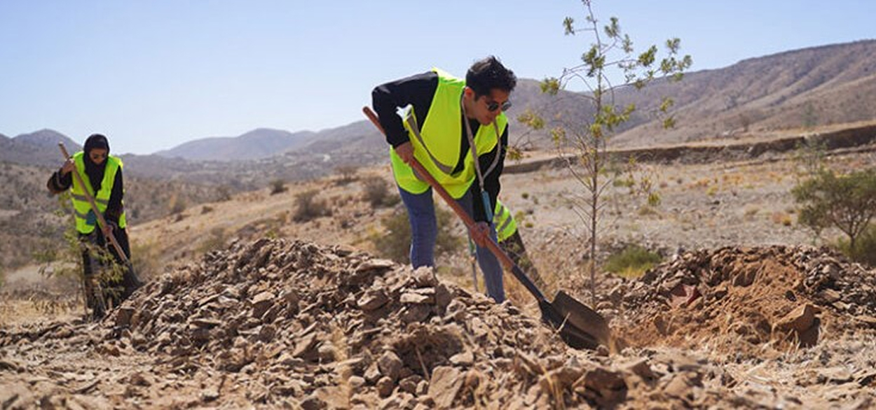 Benefits of advanced tree care 04