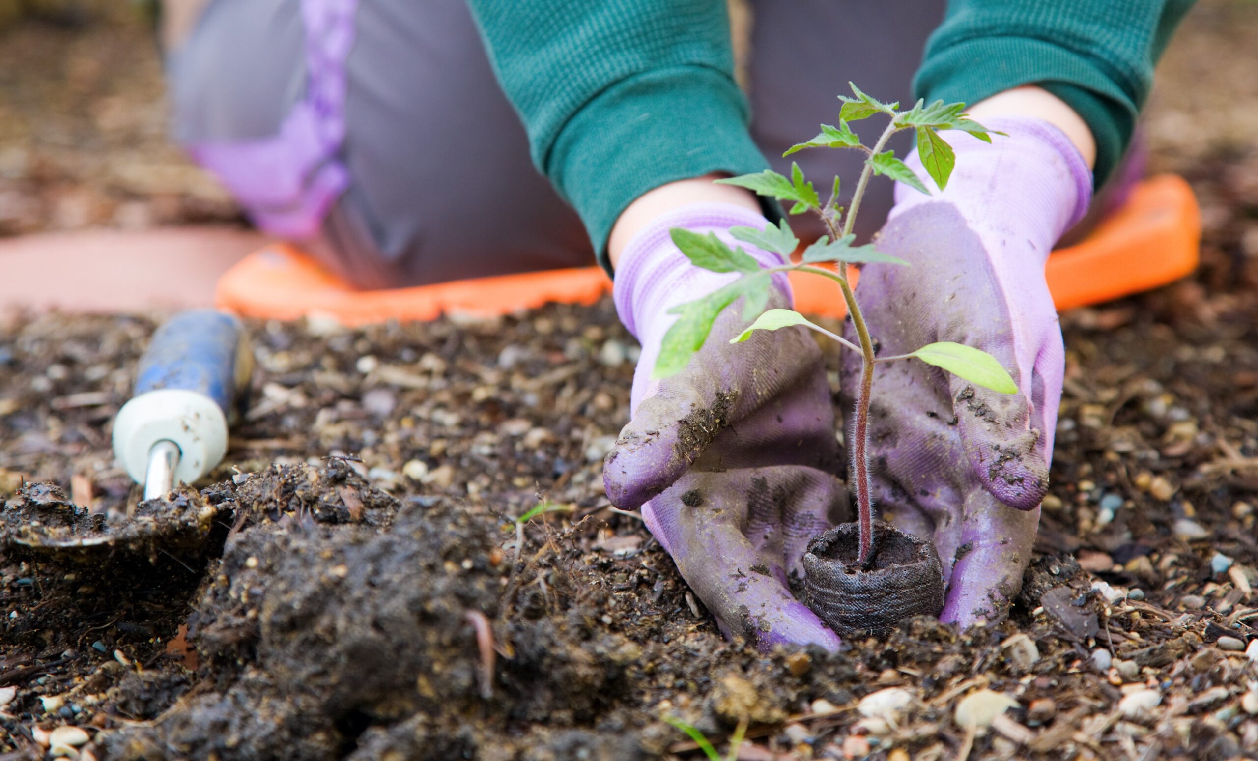 stock-photos-gardening-image