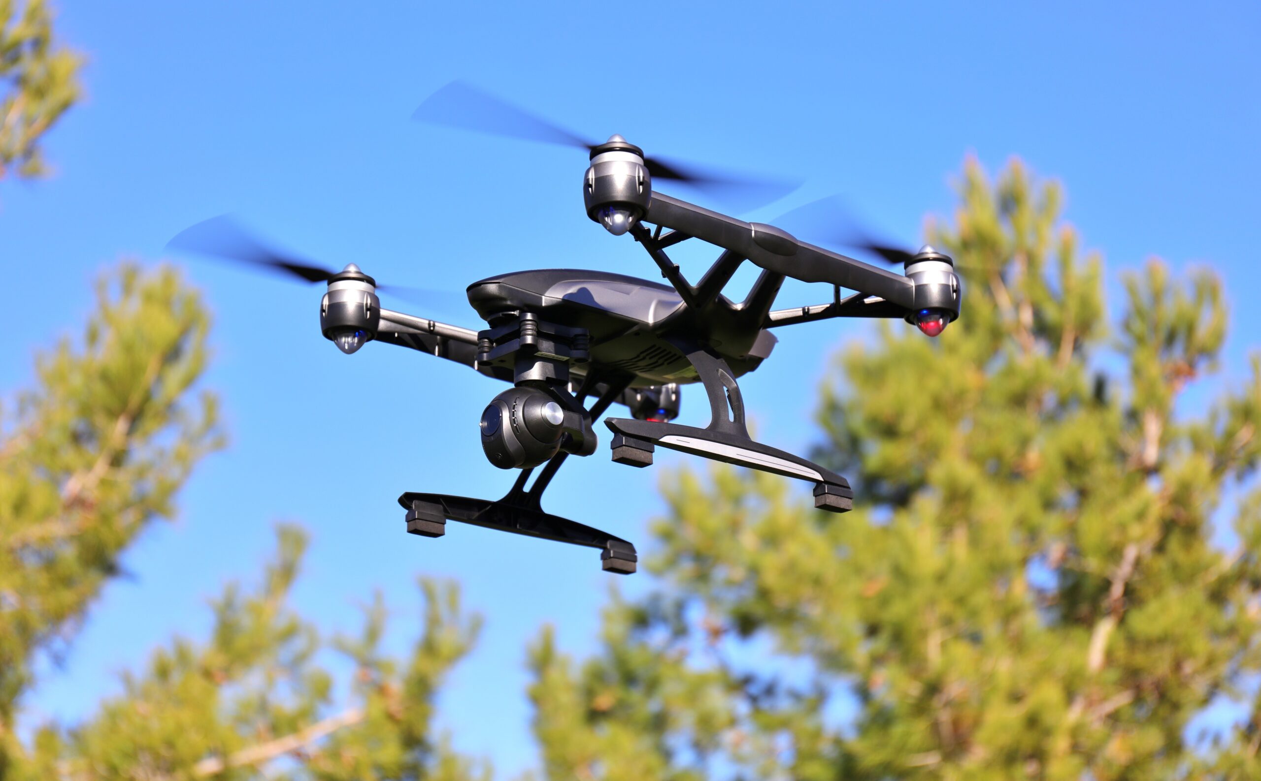 Remote monitoring of tree assets